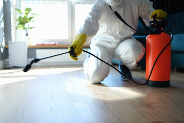 Trusted Trauma Scene Cleanup service in Wallace, CA - Four Month Blood Cleanse